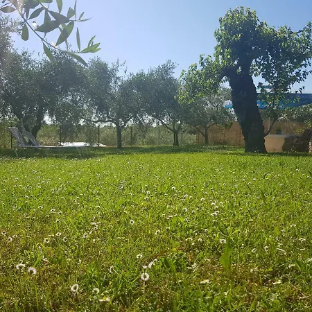 Casa Istria * Buje